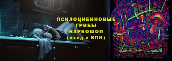 ГАЛЛЮЦИНОГЕННЫЕ ГРИБЫ Надым